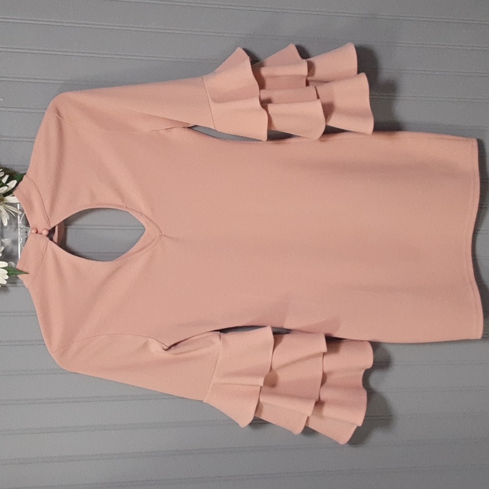 Jealous Tomato Bell Sleeve Dress - Picture 4 of 10